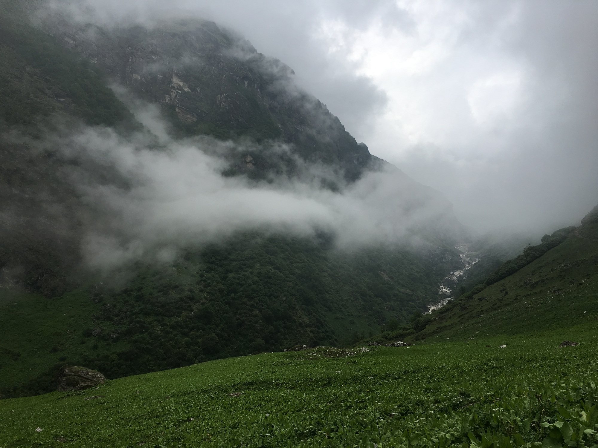 Pindari Glacier