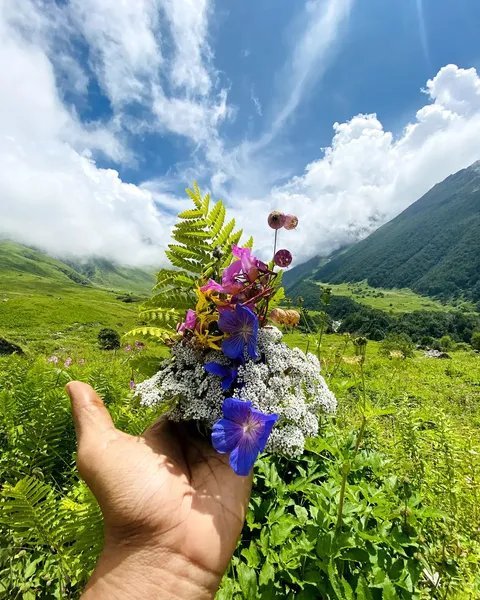 Valley of Flowers